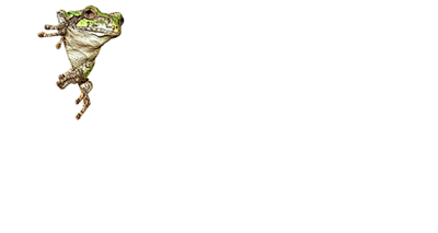 Velvet Green Creations